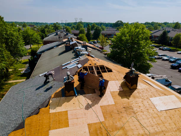 Best Flat Roof Repair Services  in Moore, OK